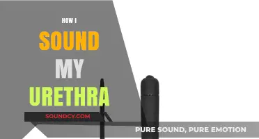 Unveiling the Unique Sound: My Urethral Exploration Journey