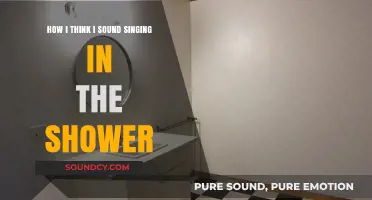 Shower Serenades: My Imagined Voice vs. Reality's Honest Echo