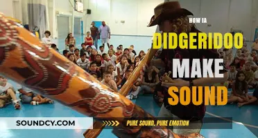 How the Didgeridoo Produces Its Unique Sound: A Step-by-Step Guide