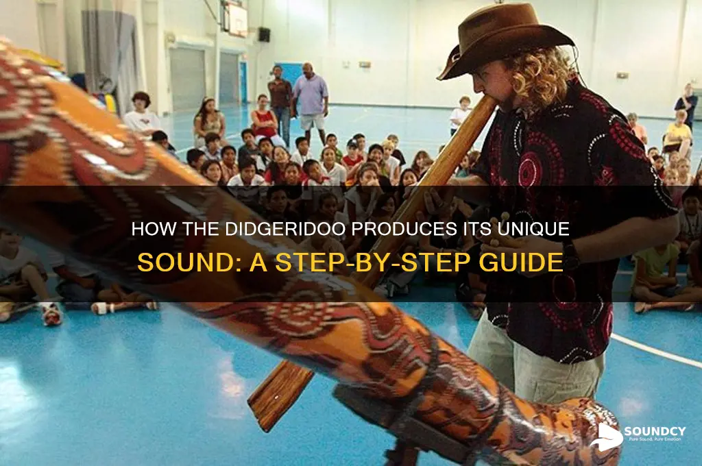how ia didgeridoo make sound
