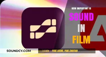 The Power of Sound: Elevating Film's Emotional Impact and Immersion
