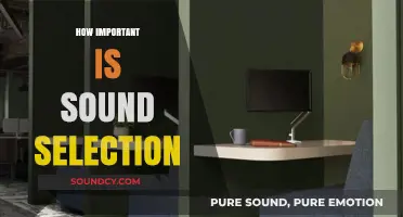 The Power of Sound Selection: Elevating Your Content's Impact