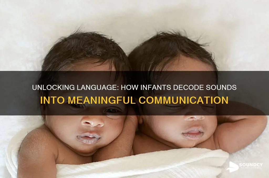 how infants translate sounds to language