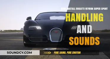 Upgrade Your Ride: Installing Bugatti Veyron Super Sport Handling & Sounds