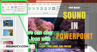 Adding Audio to PowerPoint: A Step-by-Step Guide to Inserting Sound