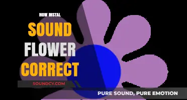 Mastering Sound Flower Installation: A Step-by-Step Guide to Perfect Setup