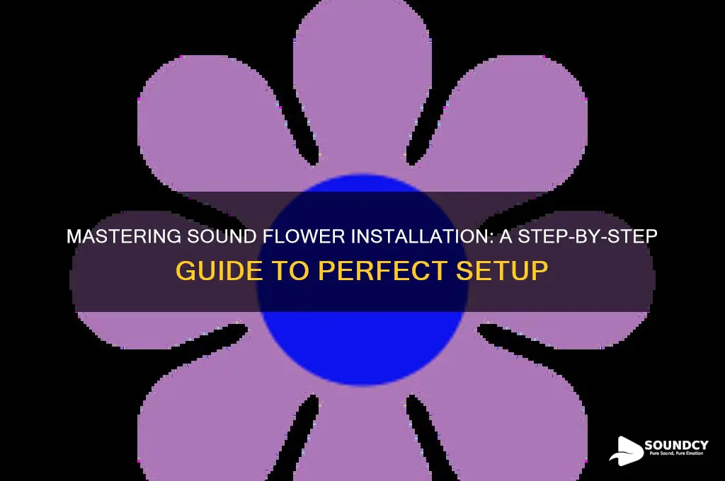how instal sound flower correct