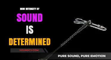 Understanding Sound Intensity: Measuring Loudness and Its Determinants