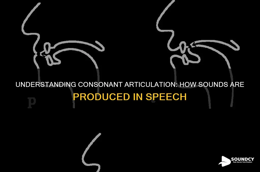 how is a consonant sound articulated