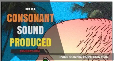 Understanding Consonant Production: The Art of Airflow and Articulation