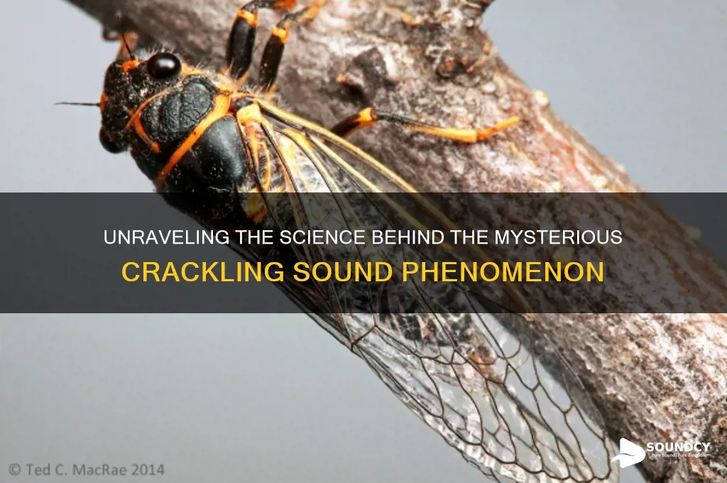 how is a crackling sound made
