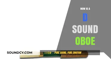 Understanding the Distinctive Double Reed Sound of the Oboe