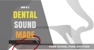 Understanding the Science Behind Dental Sounds: A Comprehensive Guide