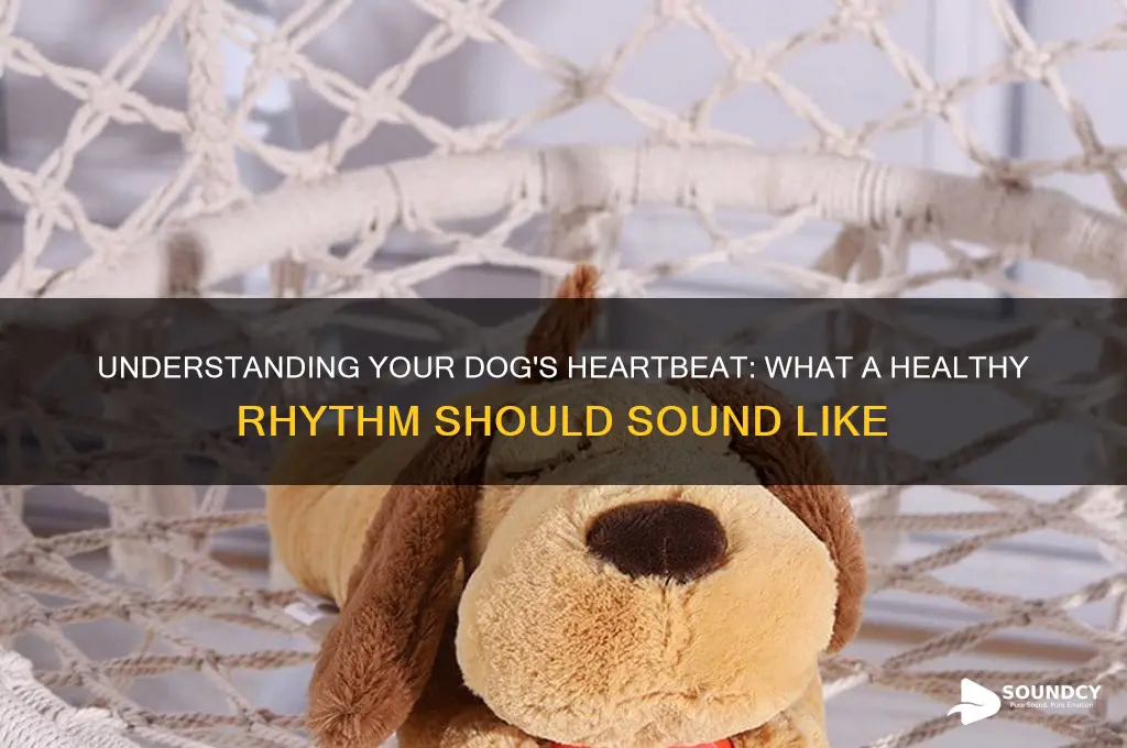 how is a dog