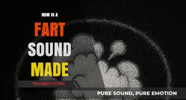 The Science Behind Fart Sounds: How Gases Create That Unique Noise