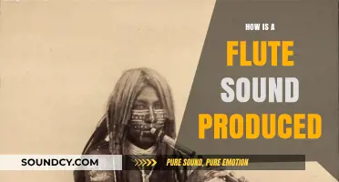 Unveiling the Science: How Flute Sounds Are Produced and Amplified