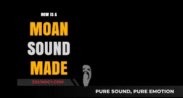 Understanding the Science Behind How Humans Produce Moan Sounds