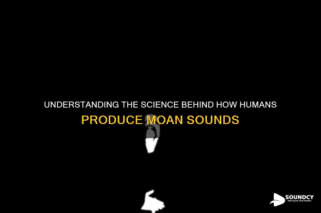 how is a moan sound made