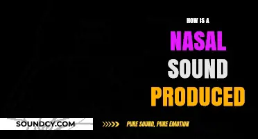 Understanding Nasal Sound Production: A Comprehensive Guide to Phonetics
