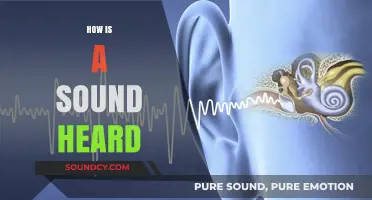 Unraveling the Science: How Sound Waves Reach Your Ears