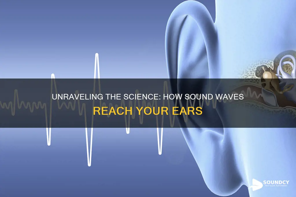 how is a sound heard