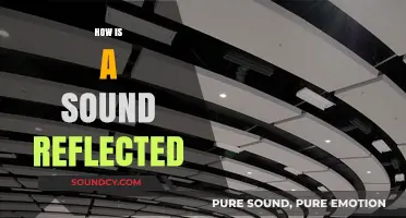 Understanding Sound Reflection: How Echoes and Reverberation Work