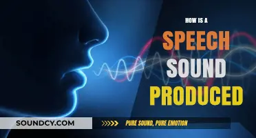 Understanding Speech Sound Production: A Comprehensive Guide to Articulation