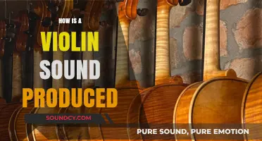 Unveiling the Magic: How a Violin Creates Its Unique Sound