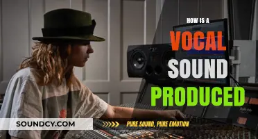Understanding the Science Behind Vocal Sound Production: A Comprehensive Guide