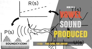 Understanding Vowel Sound Production: A Comprehensive Guide to Articulation