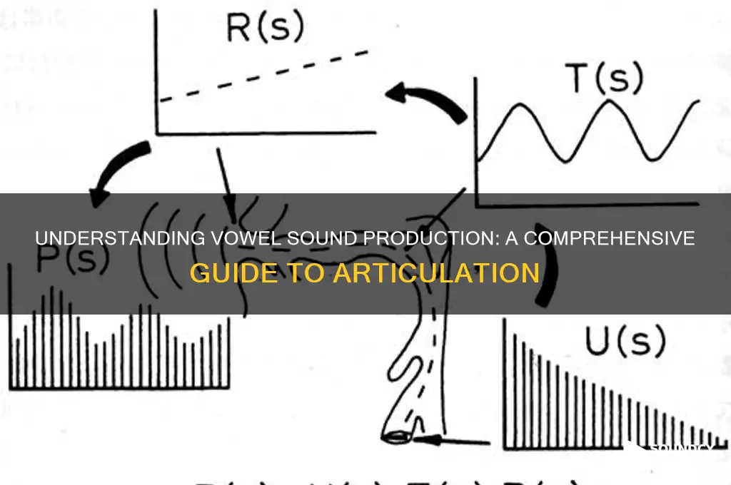 how is a vowel sound produced