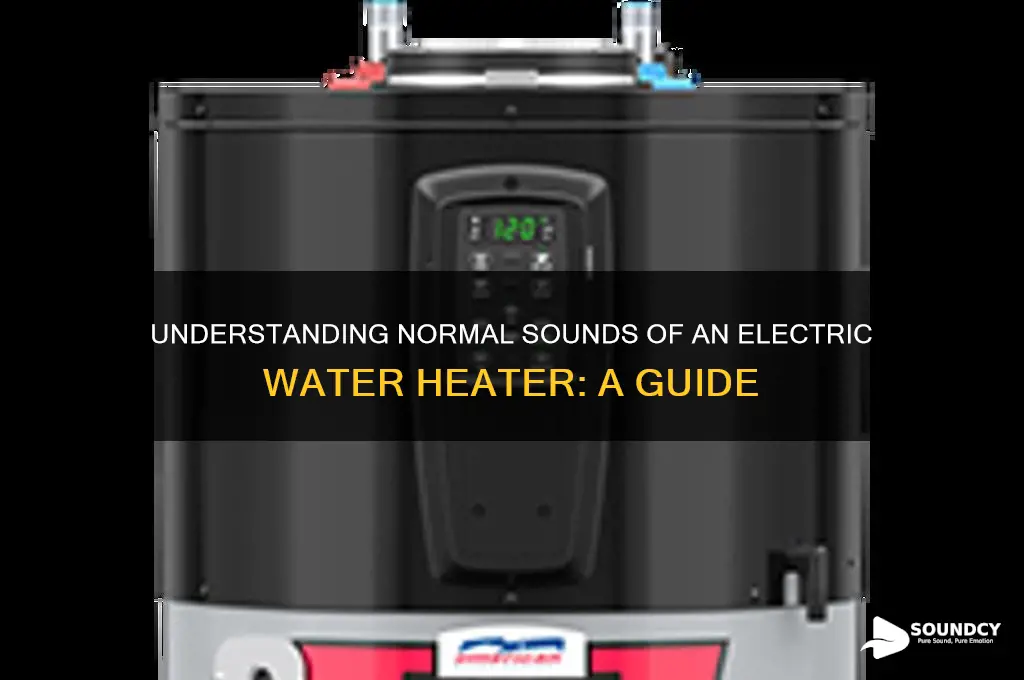 how is an electric water heater supposed to sound