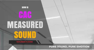 Understanding CAC Measurement: Techniques for Accurate Sound Assessment