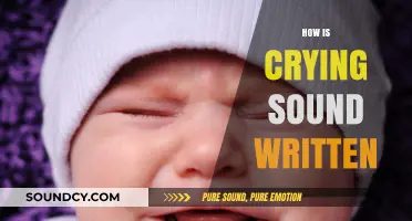 Decoding the Written Expression of Crying Sounds in Language and Literature