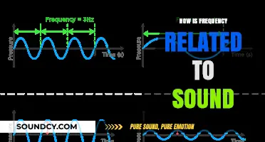 Understanding Sound: How Frequency Shapes the Sounds We Hear