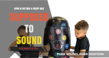 Mastering the Heavy Bag: Decoding the Perfect Punch Sounds