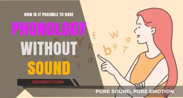 Silent Phonology: Exploring Language Structure Beyond Audible Sounds