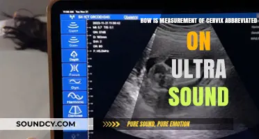 Cervix Measurement Abbreviation on Ultrasound: Understanding the Terminology