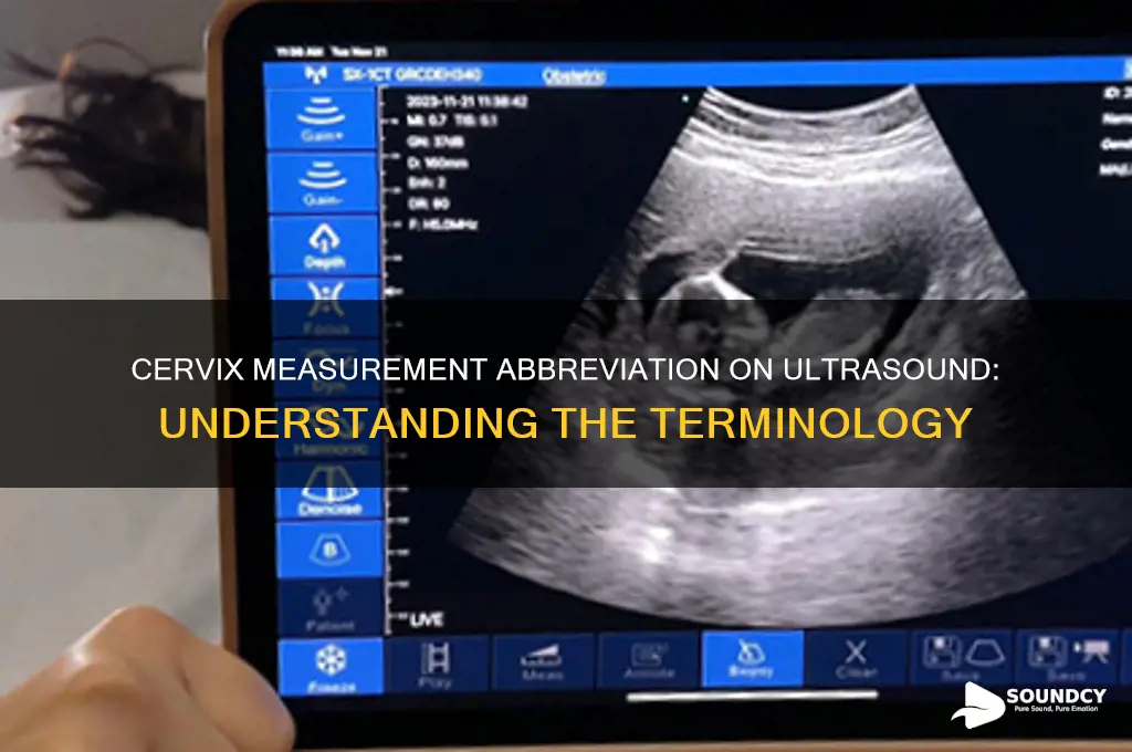 how is measurement of cervix abbreviated on ultra sound