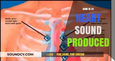 Understanding the Mechanism Behind the Production of S1 Heart Sound
