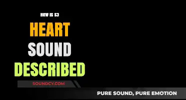 Understanding the Distinct Characteristics of S3 Heart Sound: A Comprehensive Guide