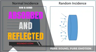 Sound Absorption and Reflection: Understanding Acoustic Interactions in Spaces