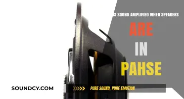 In-Phase Speakers: How Sound Amplification Works for Clearer Audio