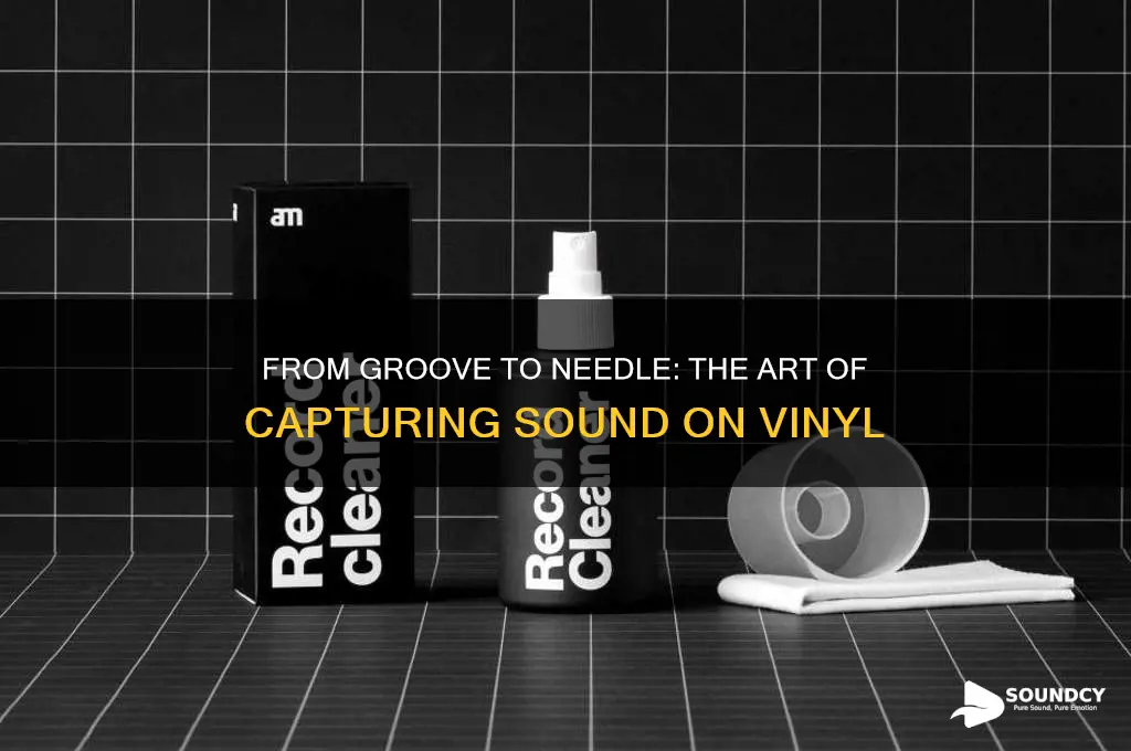 how is sound captured on vinyl