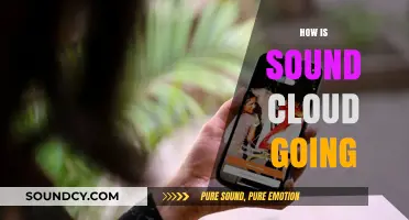 SoundCloud's Evolution: Growth, Challenges, and Future Prospects Explored