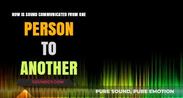 Understanding the Science of Sound Communication Between Individuals