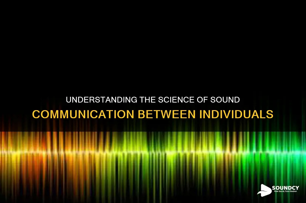 how is sound communicated from one person to another