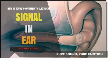 How the Ear Transforms Sound Waves into Electrical Signals
