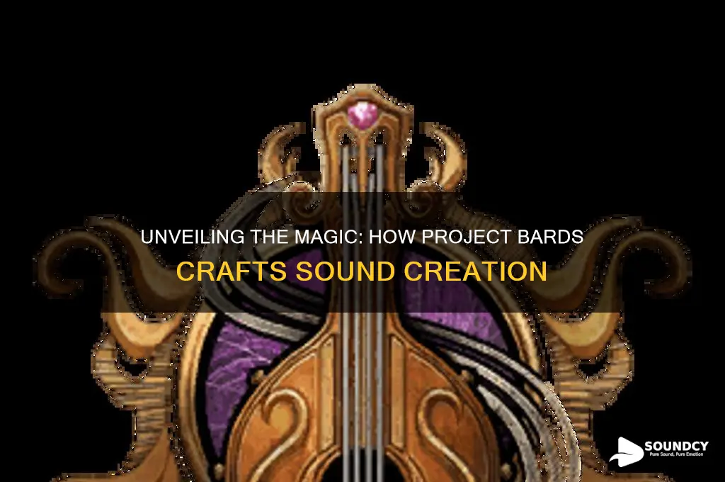 how is sound created project bards