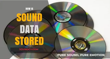 Exploring Sound Data Storage: Formats, Methods, and Digital Preservation